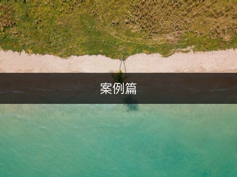 案例篇 案例篇