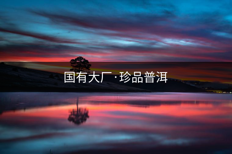 國(guó)有大廠·珍品普洱 國(guó)有大廠·珍品普洱