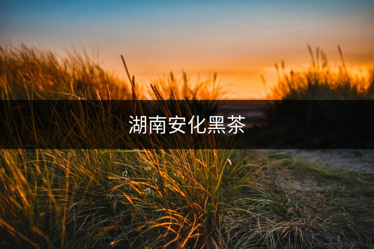 湖南安化黑茶 湖南安化黑茶