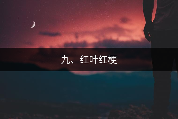 九、紅葉紅梗 九、紅葉紅梗