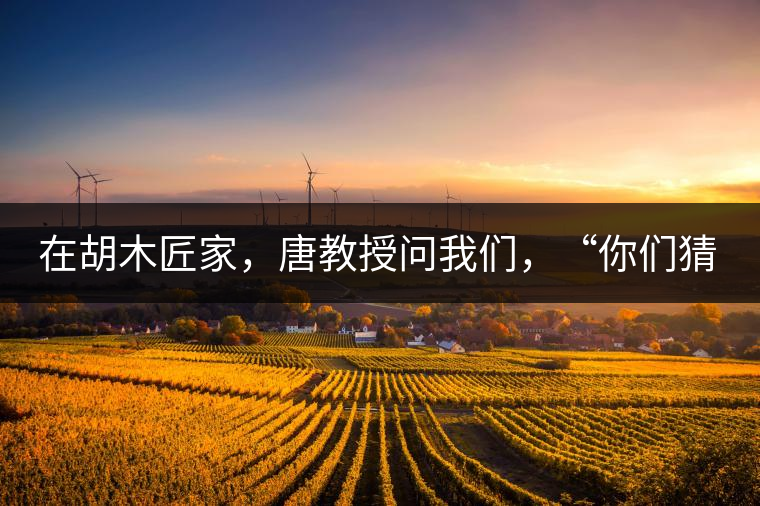 在胡木匠家，唐教授問(wèn)我們，“你們猜猜他們家的茶放在哪里？”我們回答廚房、客廳都不對(duì)，“難道像寺院一樣，有專(zhuān)門(mén)的茶房不成？”教授和木匠都哈哈大笑，連連搖頭。在木匠的帶領(lǐng)下，我們來(lái)到主人的臥室，茶磚整齊有序地堆放在床頭柜里。一家之主的臥室，既是休息之所，亦是一家財(cái)富與傳家寶的收藏地。茶之精貴，毋需多言。