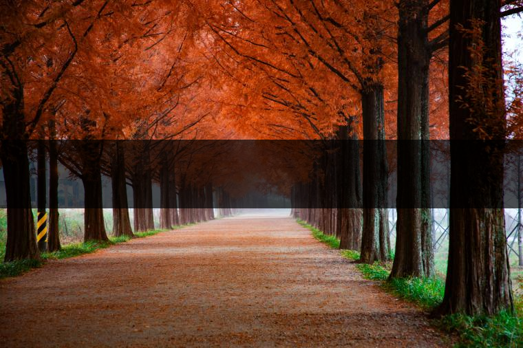 這樣的茶葉邊疆文化，也許是明代大學(xué)者解縉最樂(lè)意見(jiàn)到的。他曾說(shuō)，中原最好的東西就是茶，而番人最好的就是馬。他贊同明廷茶馬互市的國(guó)策：茶之于夷人，如同中國(guó)之酒醴，因?yàn)椴桉R貿(mào)易，許多夷人也開(kāi)始學(xué)習(xí)中國(guó)的知識(shí)，對(duì)中國(guó)也有了向慕之心，那么茶的作用就很顯然，茶有著“夷夏之交，義利之辨，寅賓尚忠信而篤敬，河州固唐虞三代之邦也。”
茶不僅僅是一種飲品，還有其他。茶作為媒介，體現(xiàn)了觀念的變化。如今，隨著茶的傳播，各族人民有了更深入往來(lái)，通過(guò)貿(mào)易、文化、旅游等等。
陳渠珍從西藏抵達(dá)湟源區(qū)域時(shí)，也為這里的古風(fēng)所震驚：“余皆漢番雜處。風(fēng)俗婦女尚餞足，裙下蓮步不及三寸，服飾既古，文化尤卑，鄰居為私塾，當(dāng)見(jiàn)一生久讀不能成誦，塾師罰之跪，以草圈罩頭上，頻加籌石，令其跪誦。余見(jiàn)駭然。”

?
（摘自《海峽茶道》，2013年5期）