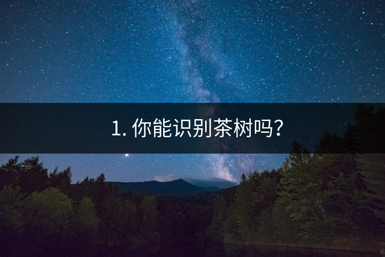 ??1. 你能識別茶樹嗎? ??1. 你能識別茶樹嗎?