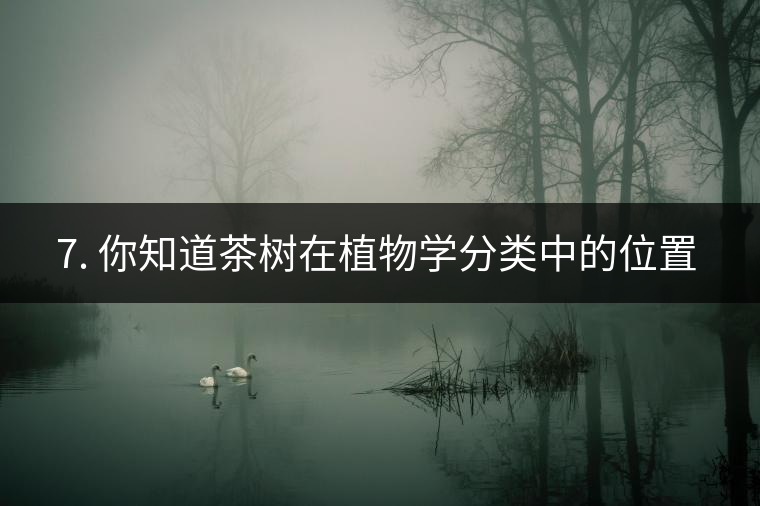 ??7. 你知道茶樹在植物學分類中的位置嗎？