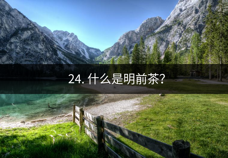 ? 24. 什么是明前茶？