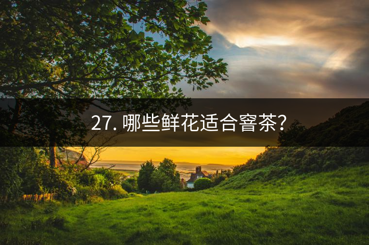 ? 27. 哪些鮮花適合窨茶? ? 27. 哪些鮮花適合窨茶?