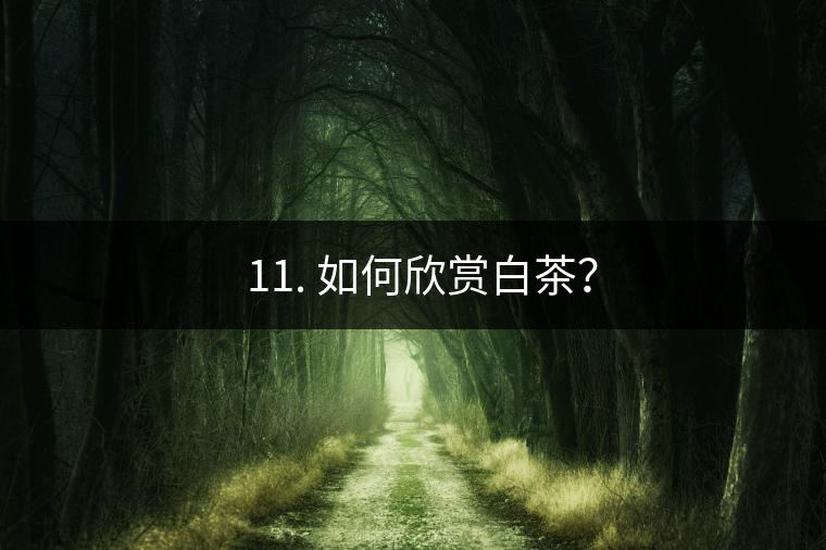 ??11. 如何欣賞白茶? ??11. 如何欣賞白茶?