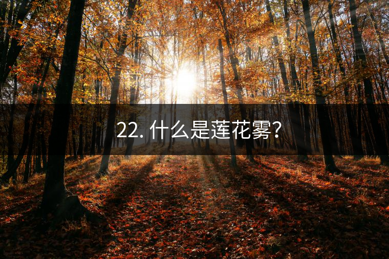 ? 22. 什么是蓮花霧? ? 22. 什么是蓮花霧?
