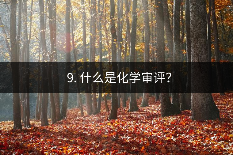 ? 9. 什么是化學審評？