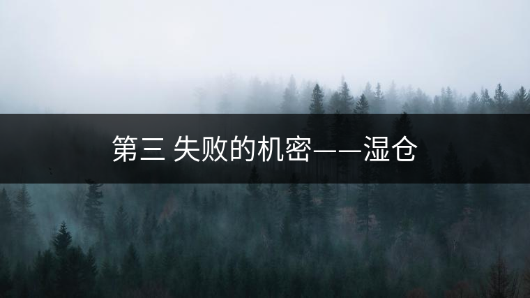 第三 失敗的機(jī)密——濕倉 第三 失敗的機(jī)密——濕倉
