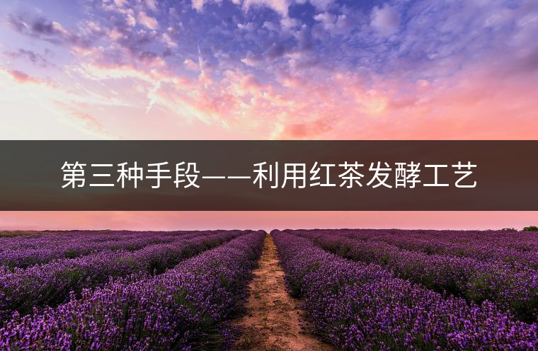 第三種手段——利用紅茶發(fā)酵工藝 第三種手段——利用紅茶發(fā)酵工藝