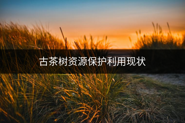 古茶樹資源保護(hù)利用現(xiàn)狀 古茶樹資源保護(hù)利用現(xiàn)狀