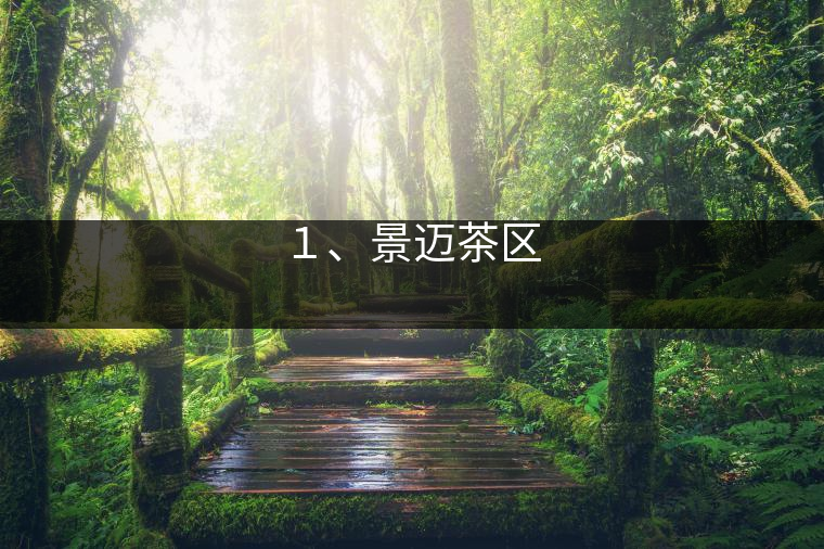 1、景邁茶區
? 1、景邁茶區
?