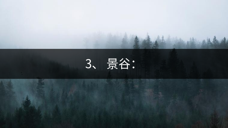 3、 景谷:? 3、 景谷:?