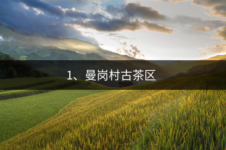 1、曼崗村古茶區 ? 1、曼崗村古茶區 ?