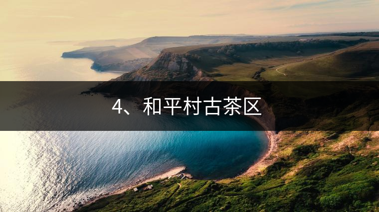 4、和平村古茶區 ? 4、和平村古茶區 ?