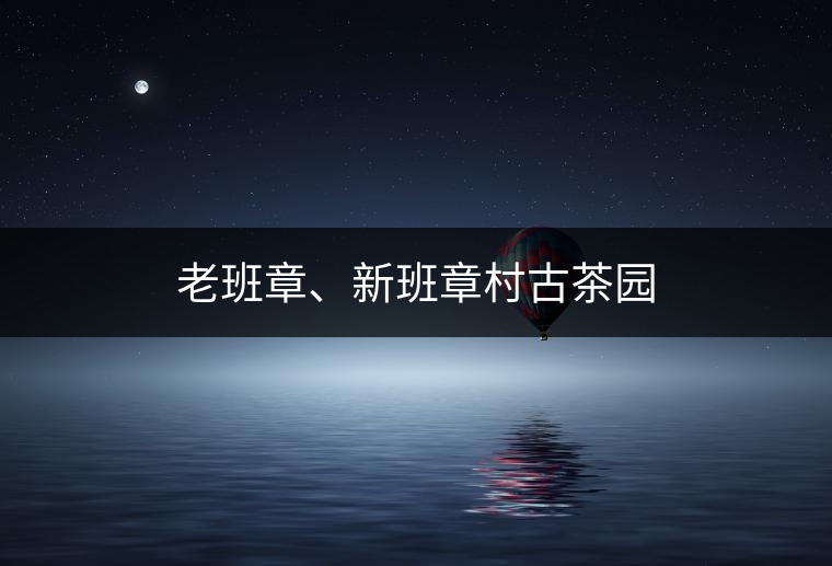 老班章、新班章村古茶園 老班章、新班章村古茶園