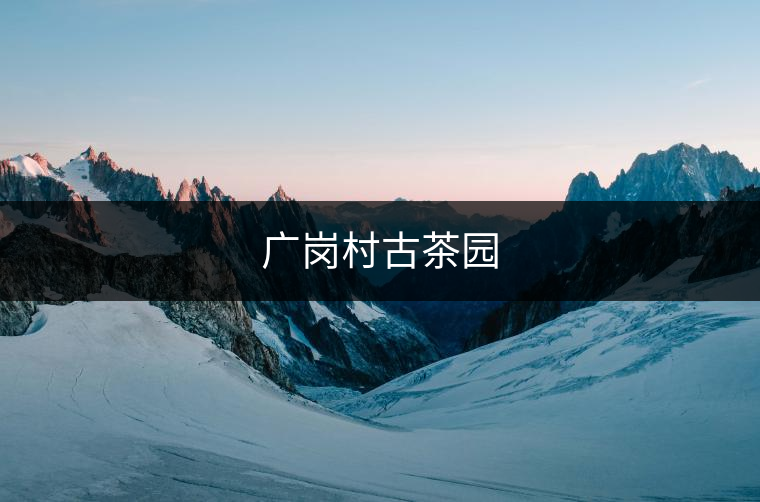 廣崗村古茶園 廣崗村古茶園