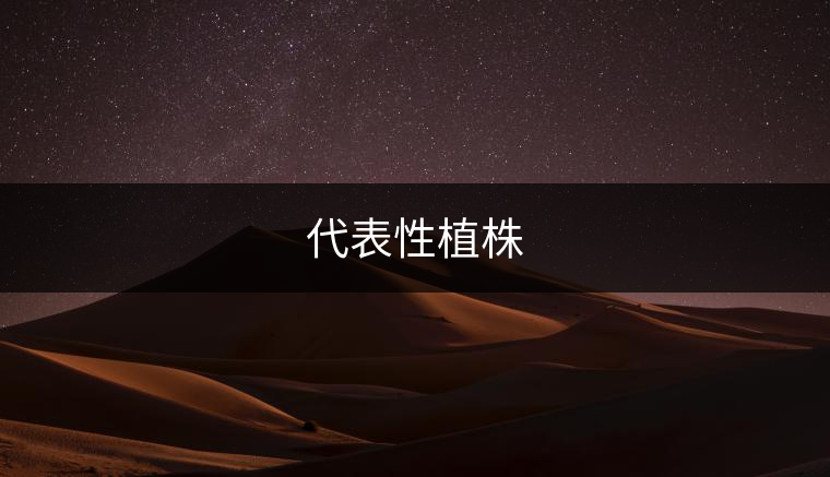 代表性植株 代表性植株