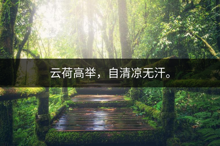 云荷高舉，自清涼無汗。