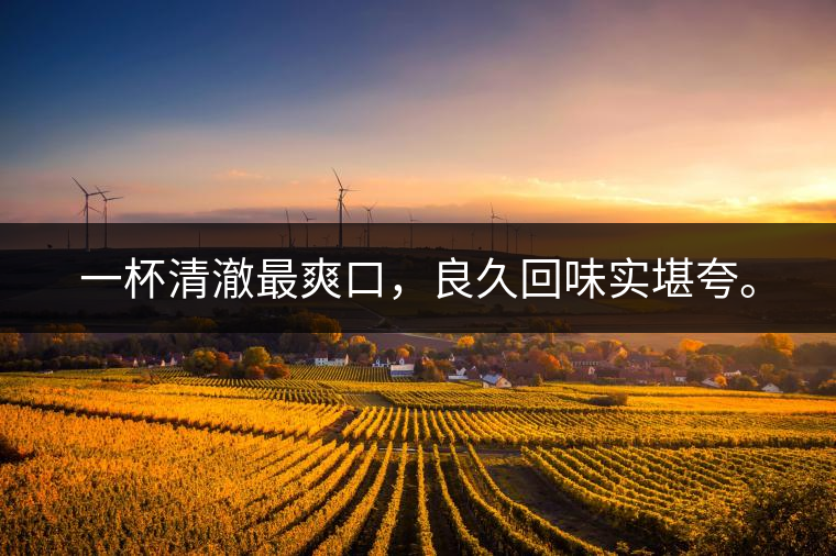 若能一日車船至,從此美名滿天涯。 若能一日車船至,從此美名滿天涯。