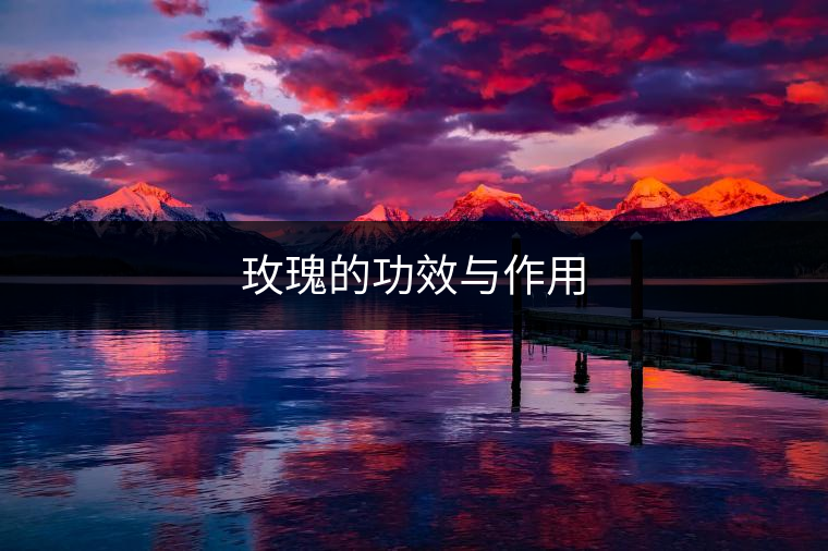 玫瑰的功效與作用 玫瑰的功效與作用