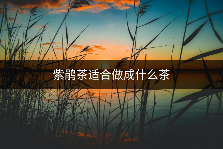 紫鵑茶適合做成什么茶 紫鵑茶適合做成什么茶