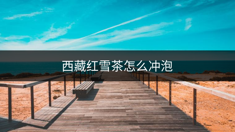 西藏紅雪茶怎么沖泡 西藏紅雪茶怎么沖泡