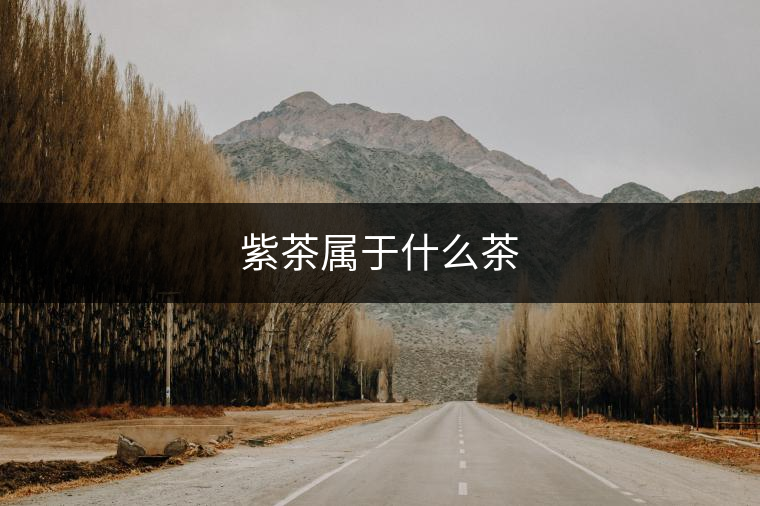 紫茶屬于什么茶 紫茶屬于什么茶