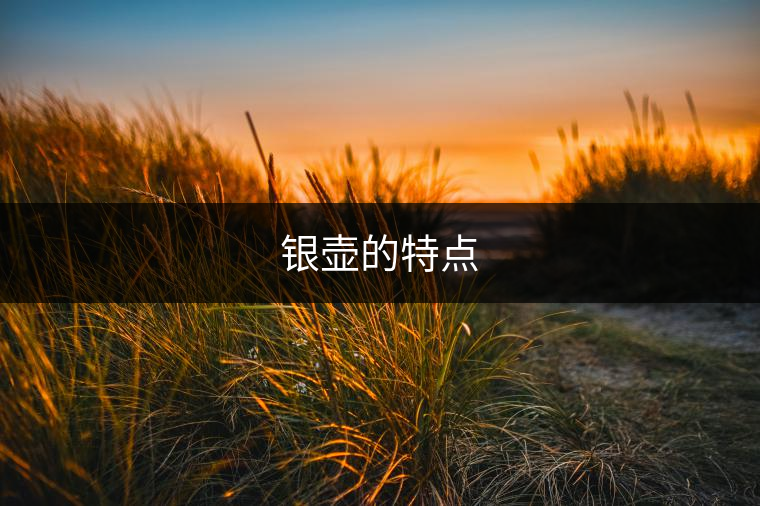 銀壺的特點 銀壺的特點