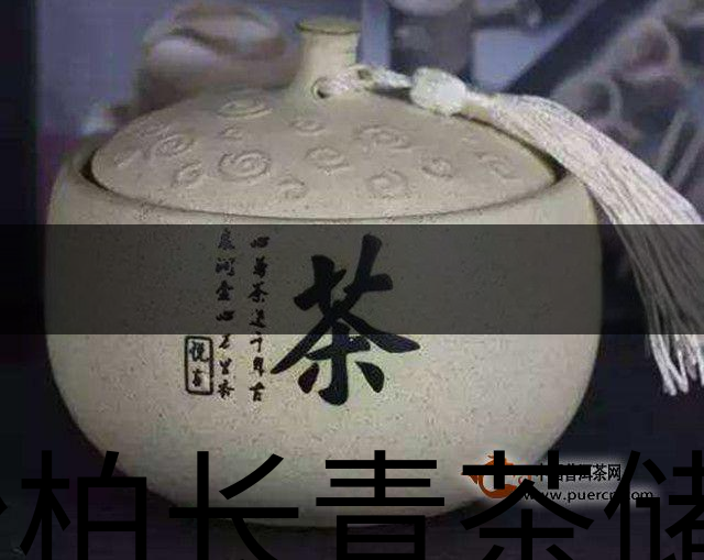 松柏長青茶儲存方法-3 松柏長青茶儲存方法-3