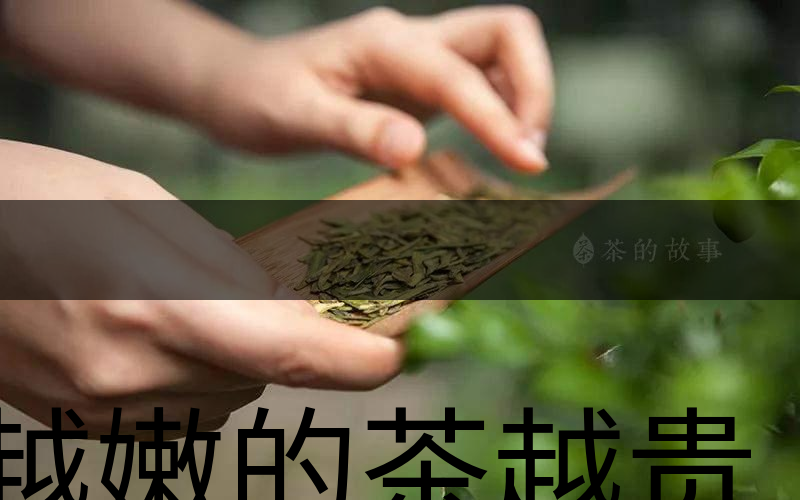 越嫩的茶越貴,但越貴的茶就越好嗎? 越嫩的茶越貴,但越貴的茶就越好嗎?