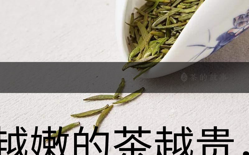 越嫩的茶越貴，但越貴的茶就越好嗎？-1