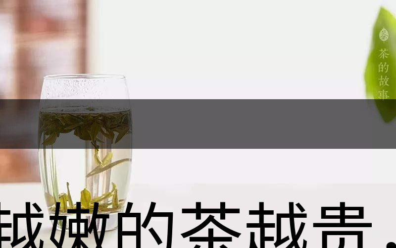 越嫩的茶越貴,但越貴的茶就越好嗎?-2 越嫩的茶越貴,但越貴的茶就越好嗎?-2
