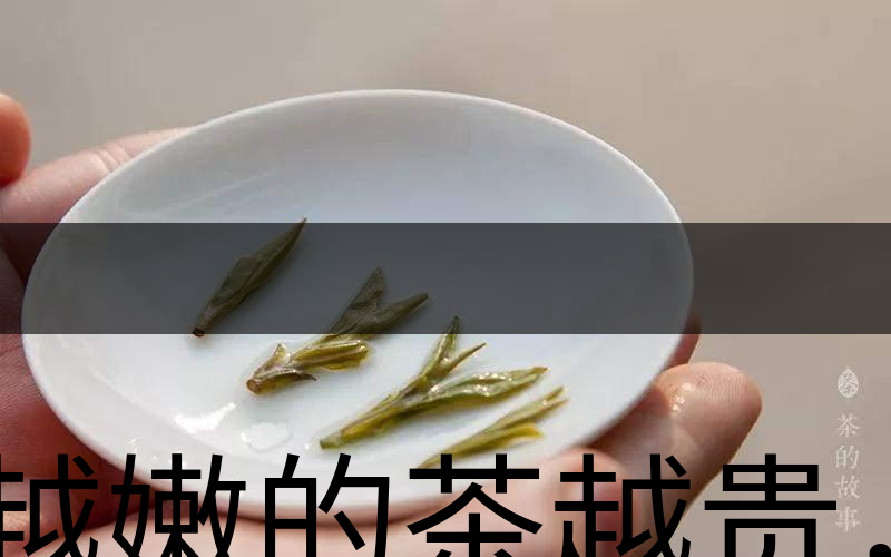 越嫩的茶越貴,但越貴的茶就越好嗎?-3 越嫩的茶越貴,但越貴的茶就越好嗎?-3