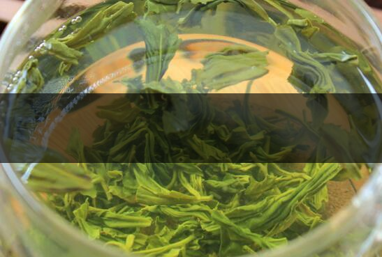 珍眉茶是什么茶-珍眉茶怎么泡