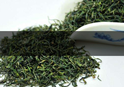 毛尖是熱性還是涼性-不適合什么人喝 毛尖是熱性還是涼性-不適合什么人喝