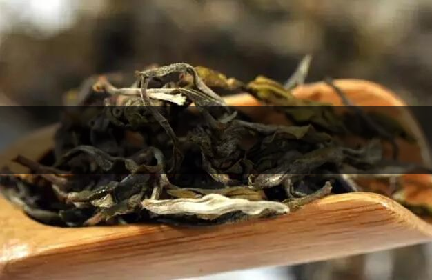 根據(jù)葉底鑒別茶葉的好壞-1-1 根據(jù)葉底鑒別茶葉的好壞-1-1