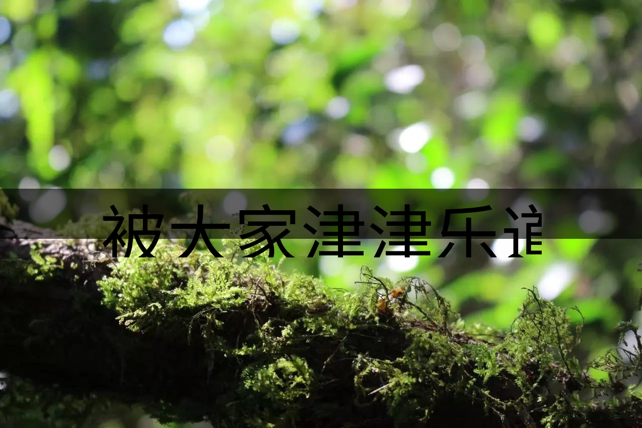 被大家津津樂道的森林茶，你知道是什么？-8-1