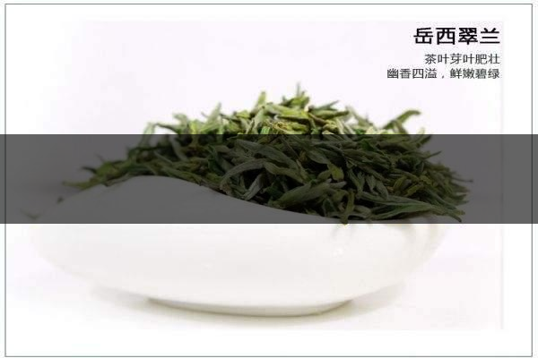 中國前二十名茶,你又知道幾種-11-1 中國前二十名茶,你又知道幾種-11-1