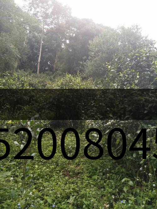 u15200804593285045762fm15gp0 u15200804593285045762fm15gp0