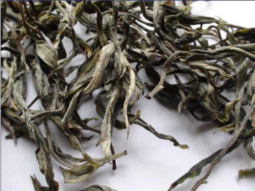 2021年馬鞍山古樹秋茶價格？