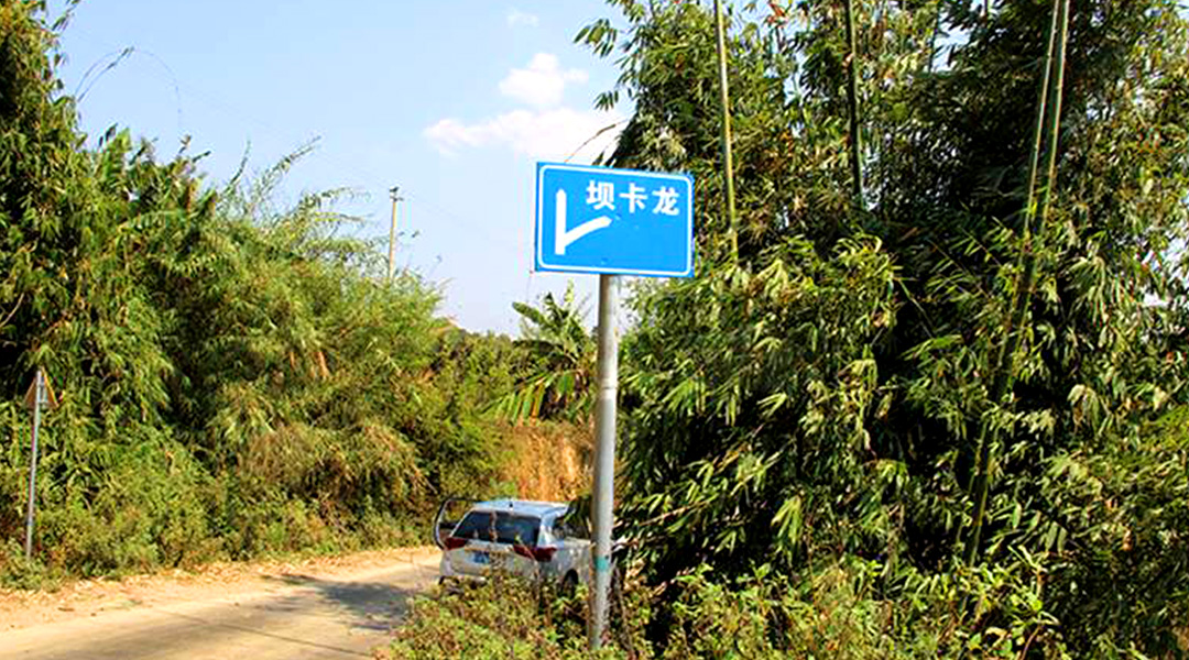 2021班章茶區(qū)壩卡竜古樹秋茶特點!