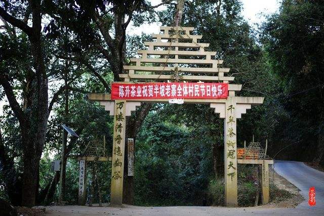 2021年南糯山半坡老寨古樹秋茶價格?