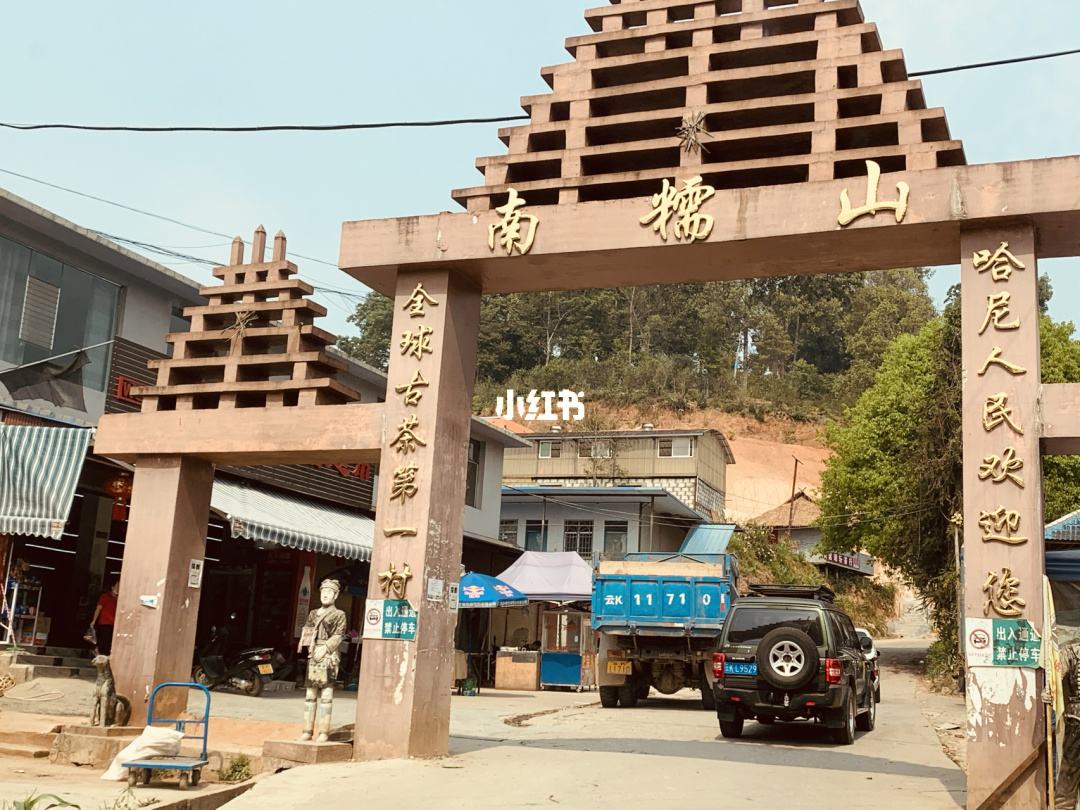 2021年南糯山半坡老寨古樹(shù)秋茶多少錢(qián)一公斤?