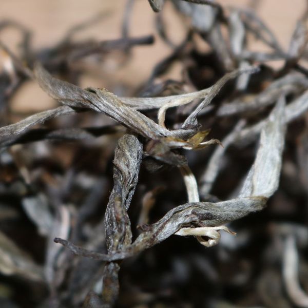 2021年帕沙古樹秋茶，你了解多少？