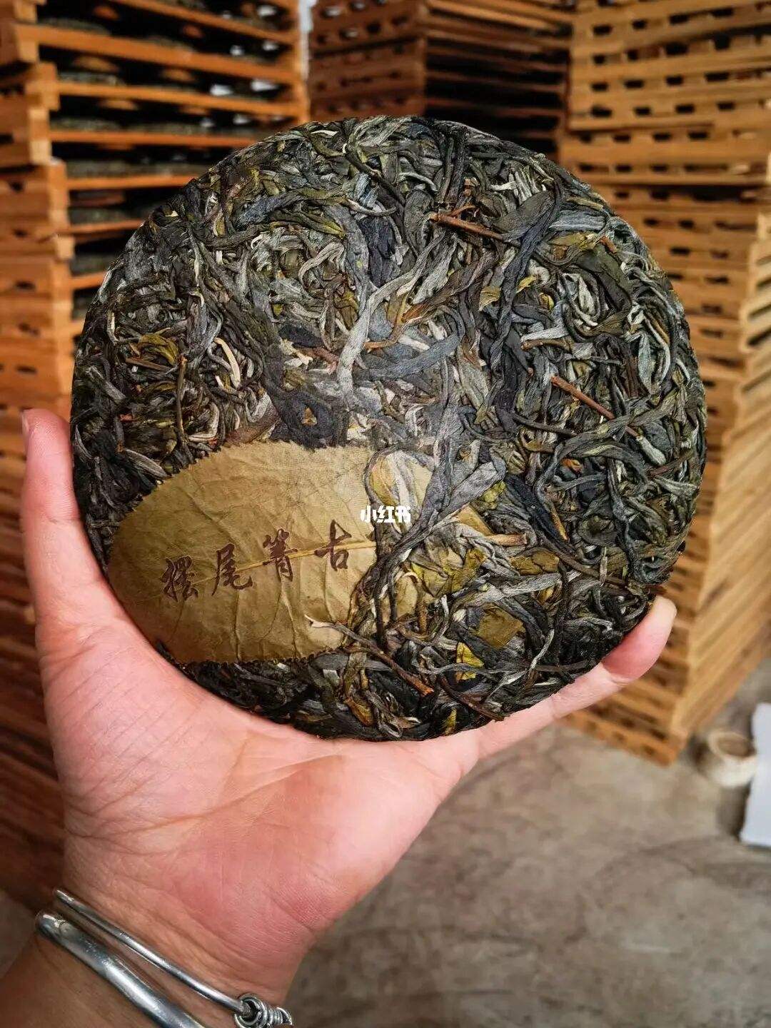 2022年寧洱 擺尾箐古樹春茶價格？