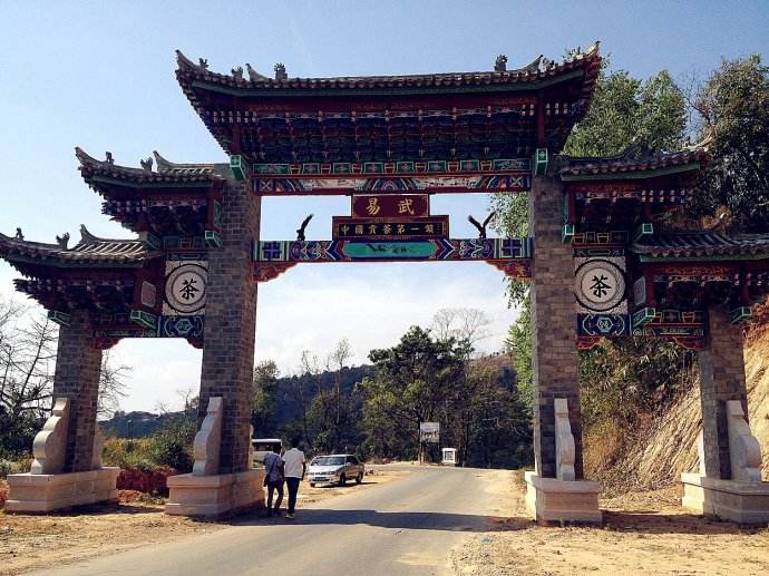 2022年易武正山古樹春茶價格？