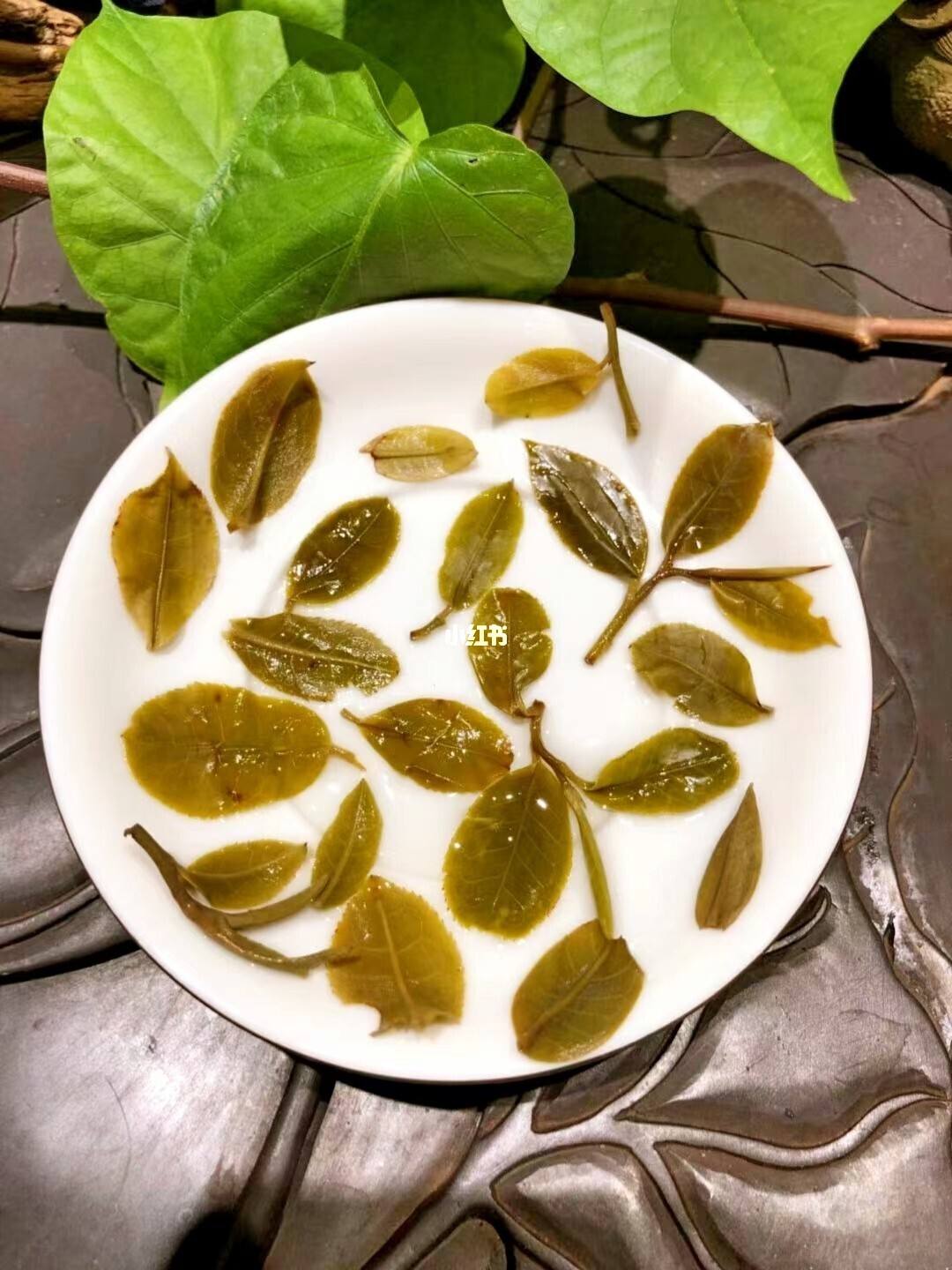 2022年倚邦貓耳朵古樹春茶多少錢一公斤?