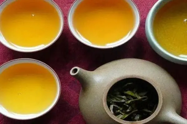 2022年普洱茶怎么泡法才正確?